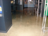 Museum of Crime 1